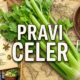 Pravi Celer